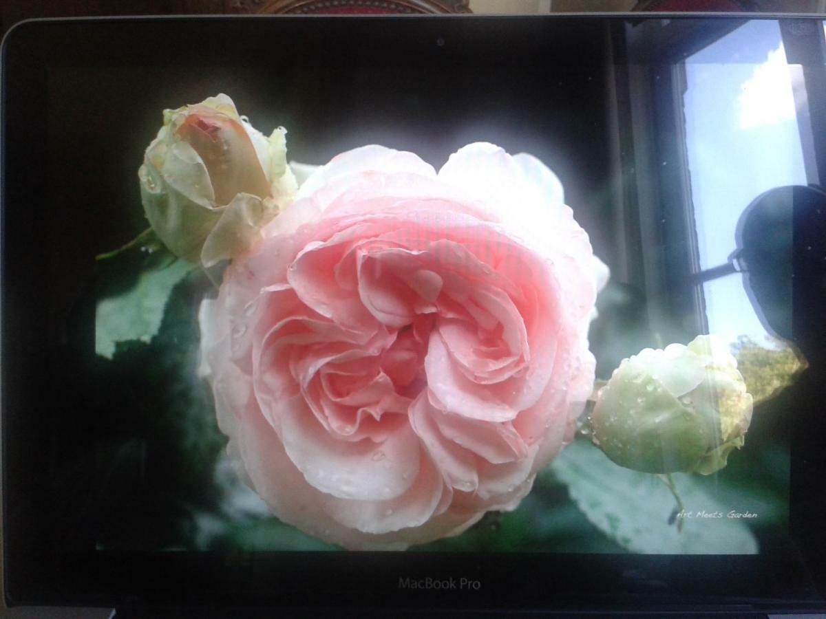 La Villa Des Roses Durbuy Eksteriør bilde