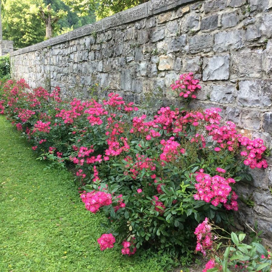 La Villa Des Roses Durbuy Eksteriør bilde